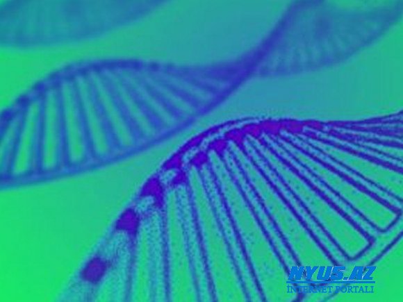 ABŞ-da insan genləri patentləşdirilə biləcək