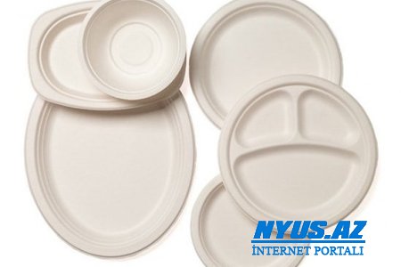 Avropa İttifaqı birdəfəlik plastik qablara qarşıdır