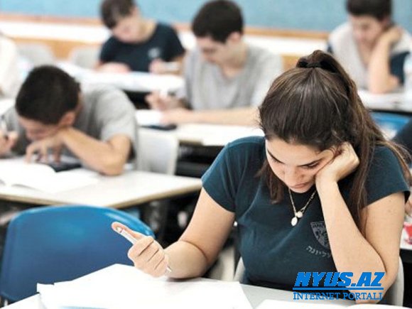 Ali təhsilin doktorantura səviyyəsində ixtisasların sayı artırılıb