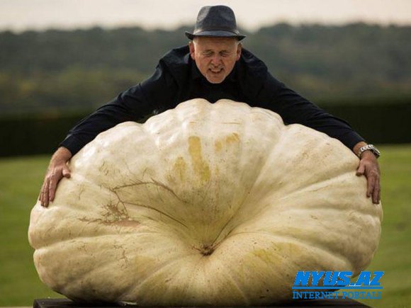 320 kiloqramlıq balqabaq və 72 kiloqramlıq xiyar "ulduz" oldu - FOTO