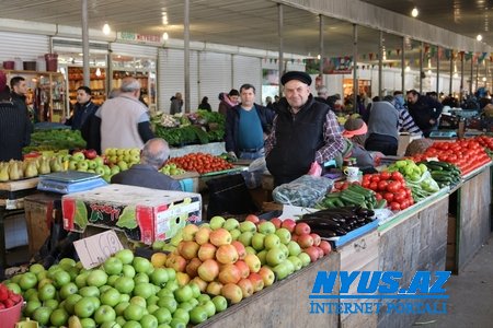 XXI əsrin GMO bəlası - səssiz qatildən necə xilas olaq?