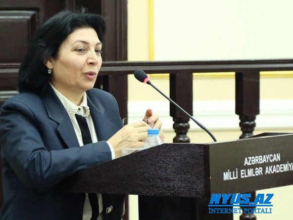 Terminologiya Komissiyası: "İnternetin cəmiyyətə nüfuzunun sürətlənməsi ədəbi dil normalarının qorunmasını çətinləşdirib"