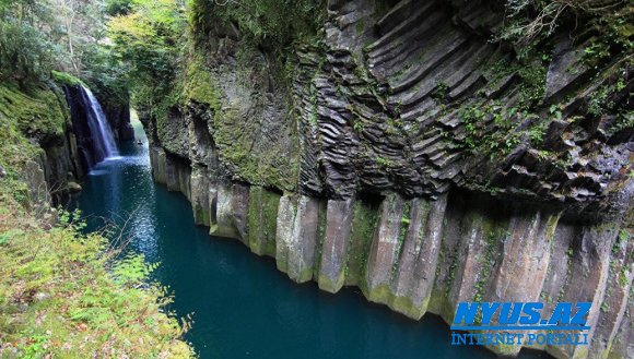 Yaponiyada məşhur turizm yerində kütləvi qətl baş verib