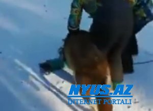 Rusiyada canavar azyaşlı uşağa hücum etdi