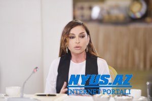 Mehriban Əliyeva “Azərenerji” ASC-yə göstəriş verdi