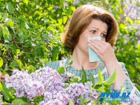 Allergiya xərçəngdən qoruyurmuş - ALİMLƏR