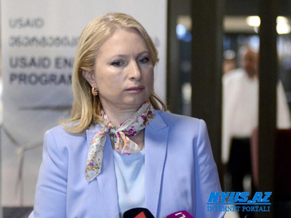 Gürcü nazirdən BTQ ilə bağlı iddialı açıqlama - "Bizsiz mümkün deyil”