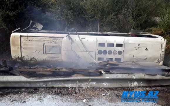İti vurmaq istəmədi, avtobus aşdı - 47 yaralı