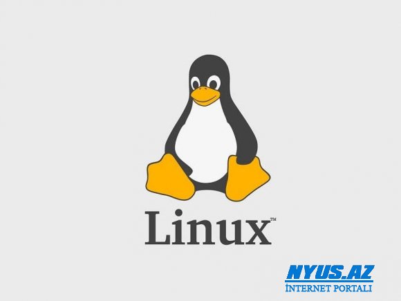 Linux nüvəsinin 28 yaşı tamam oldu