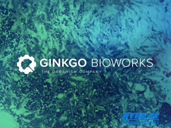 Ginko Bioworks-un növbəti investisiya məbləği 350 milyon dollar oldu