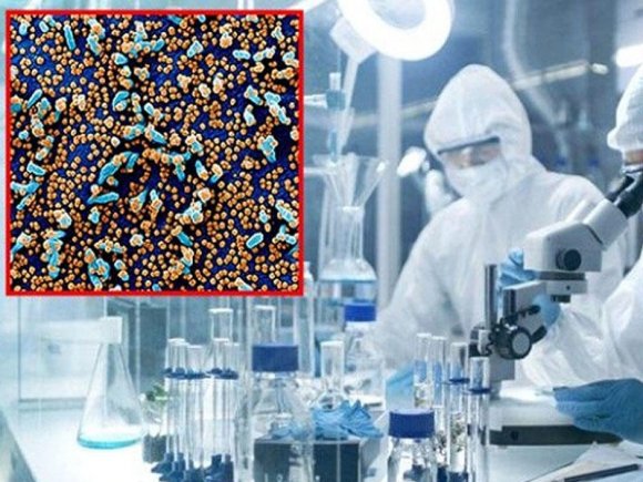Koronavirus bədənə belə yayılırmış - ilk dəfə göstərildi - FOTO