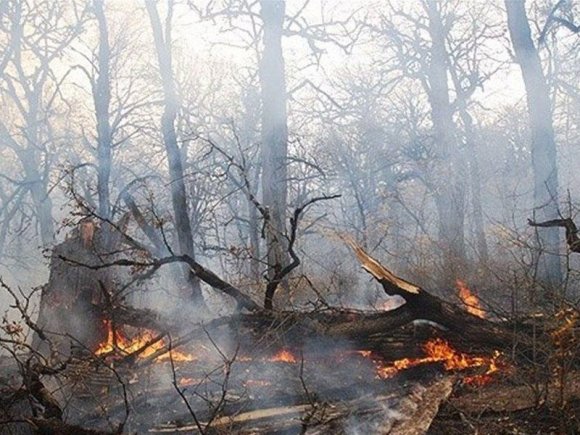 Çernobılda meşə yanğıları söndürülüb