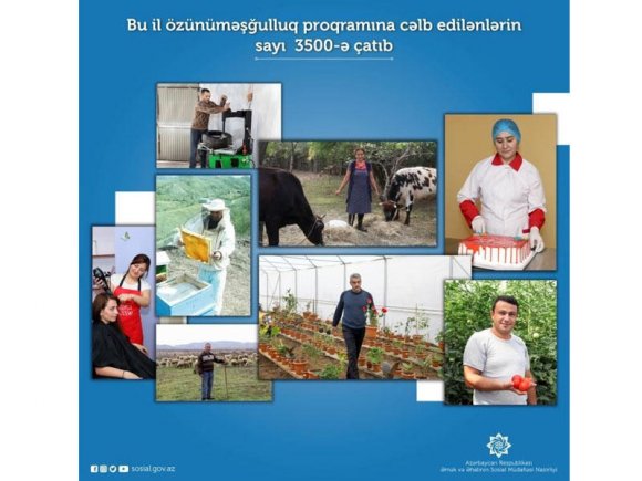 Bu il özünüməşğulluq proqramına cəlb edilənlərin sayı 3500-ə çatıb