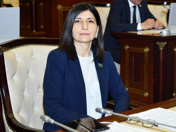 Sevil Mikayılova: İşğalçı Ermənistanın diversiya qrupunun Goranboy istiqamətində təxribatı danışıqlar prosesini pozmaq cəhdindən başqa bir şey deyil
