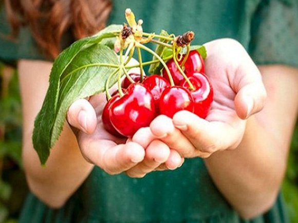 Bu meyvə ağrıkəsicidən daha TƏSİRLİDİR