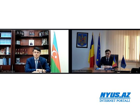 Rumıniyanın Dövlət katibi ilə virtual görüş keçirilib