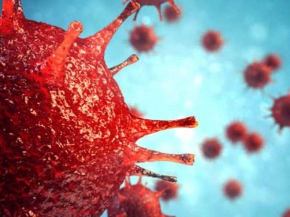 Əslində bu virus ortaya çıxandan sonra..."