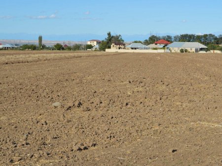 Bakıda torpağın qiyməti bu müddətdən sonra bahalaşacaq - Gözlənti