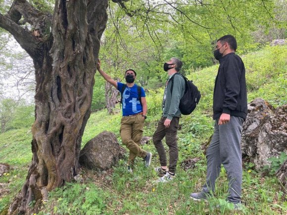 Bu il milli parkları ziyarət edən turistlərin sayı artıb - Nazirlik