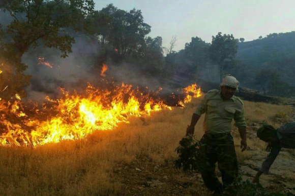 Yunanıstanda meşə yanğınlarının baş verdiyi bölgədən 300-dən çox insan xilas edildi