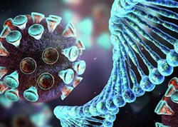 ŞOK ARAŞDIRMA: Koronavirus xəstəlikdən bir neçə ay sonra BU ORQANA KEÇİR