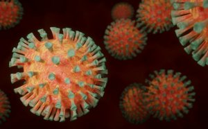 "Koronavirus ilk dəfə 21 min il bundan əvvəl yayılıb"