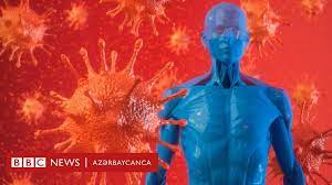 Koronavirus qan dövranı sistemini belə zədələyir