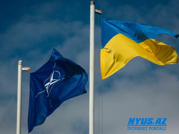 Ukrayna NATO-dan yardım istəyib