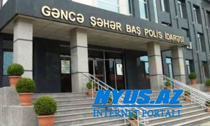 Gəncə sakini komputer oyunu üstündə tanışını bıçaqladı