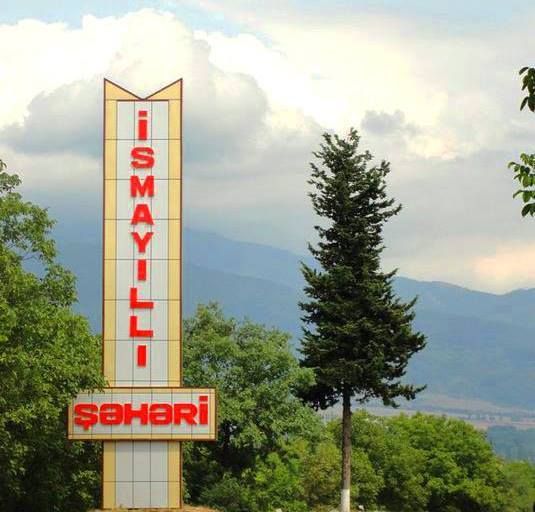 İsmayıllıda DÖVLƏTİN MEŞƏSİ SATILIR... - NAZİRİN NƏZƏRİNƏ...