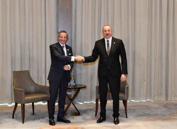 Prezident Atom Enerjisi üzrə Beynəlxalq Agentliyin Baş direktorunu qəbul edib
