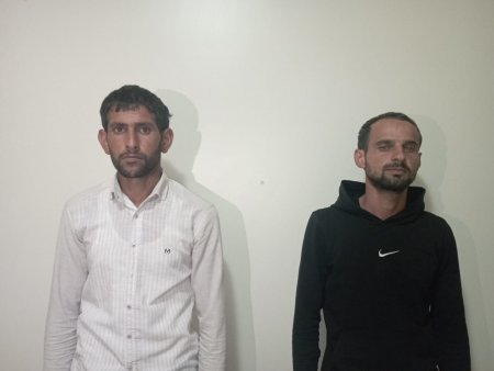 Şirvanda narkotik tərkibli bitkilərin kultivasiyası ilə məşğul olan iki nəfər saxlanılıb