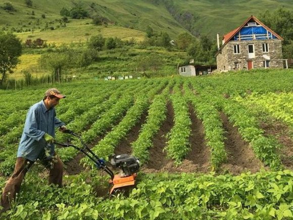 Sel baş verən ərazilərdə ziyan görən fermərlərə yardım ediləcək? - Nazirlikdən açıqlama