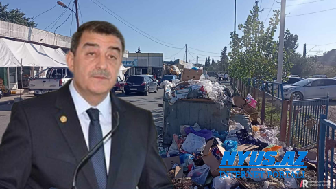 Şirvan şəhər mərkəzi küçələri xəstəlik mənbəyinə çevrilib - VİDEO