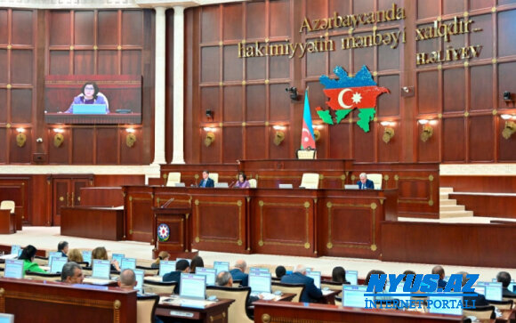 Milli Məclisdə müzakirə və bəyanat