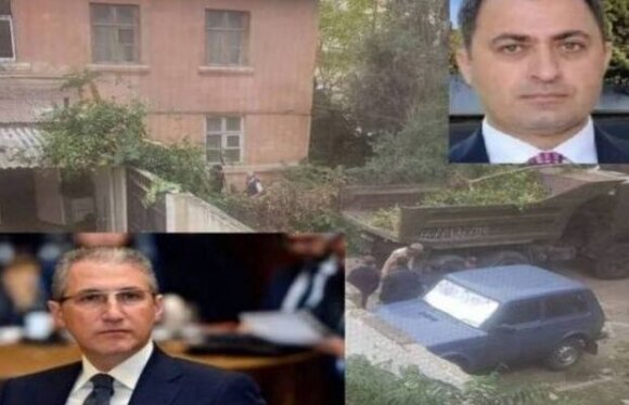 Nizami rayonunda “ağac soyqırımı” - Nazir və başçı məsələdən xəbərdardırlar, amma “soyqırım” davam edir - FOTO - VİDEO