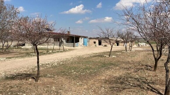 Ana 3 yaşlı qızını amansız şəkildə qətlə yetirdi: Sevdaya ömürlük həbs cəzası