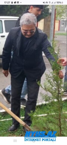 Masallıda yenə ağaclar kəsildi və yerli ekologiya idarəsi  "ZÜY TUTDU"