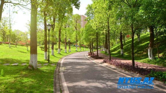 Bakının bu ərazisində nəhəng park salınır
