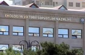 Ağ Şəhər”də AĞAC YEYƏNLƏR PEYDA OLUB...
