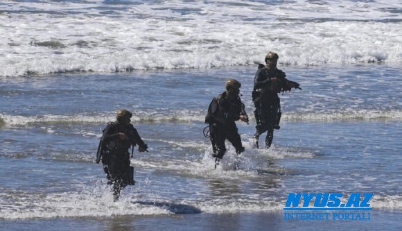 ABŞ pilotun xilas olunmasına Delta Force bölməsini göndəribmiş
