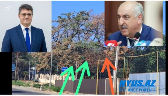 Mirsalam Qənbərovun cənub Ana təbiəti ilə olan düşmənçiliyi
