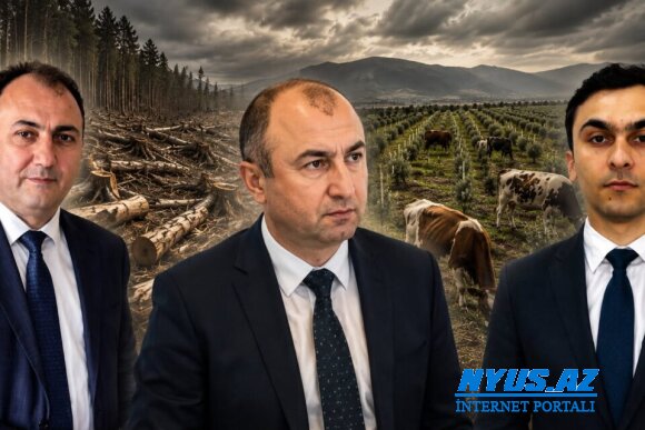 Ekologiyanın “boz kardinal”ı Vüqar Kərimova qarşı ağır ittihamlar - Dövlətin yaşıl siyasətini “qara biznes”ə çevirənlər…