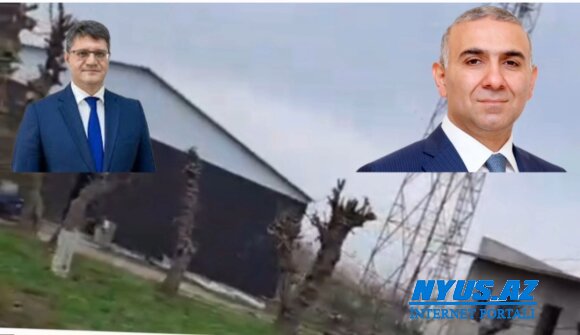 ETSN -naziri Rəşad İsmayılovun Masallı rayonunun Kürdəbazlı kəndində baş verən qanunsuz ağac kəsintilərindən ("yaşıl soyqırımı"ndan) xəbəri varmı?" "Azərişıq” ASC-nin sədri Vüqar Əhmədovun adı niyə hallandırılır? - VİDEO