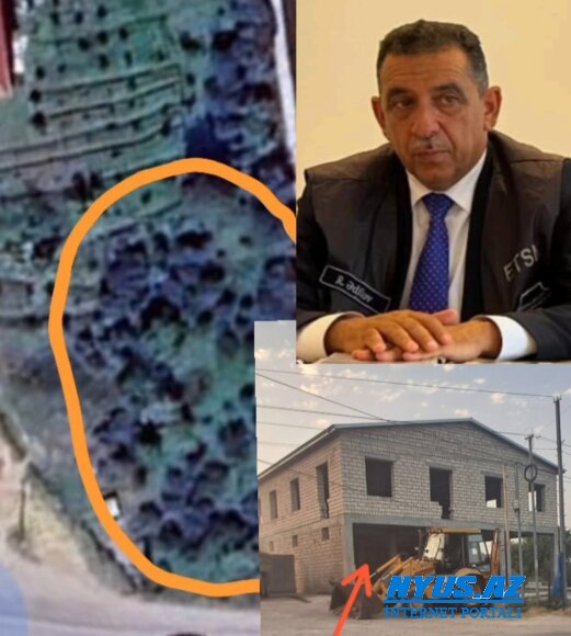 Cənub ekologiyası ağır günlərin yaşayı - FOTO