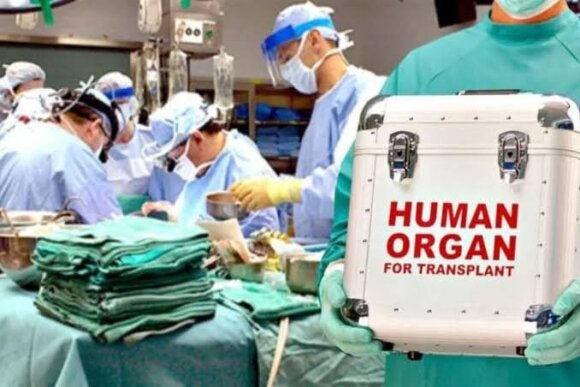 Azərbaycanda transplantasiya əməliyyatları icbari sığortaya salına bilər