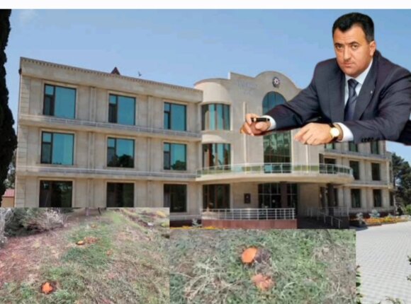 Abşeronda yaşıllıqların məhvinə kim cavabdehdir? – VİDEOFAKT